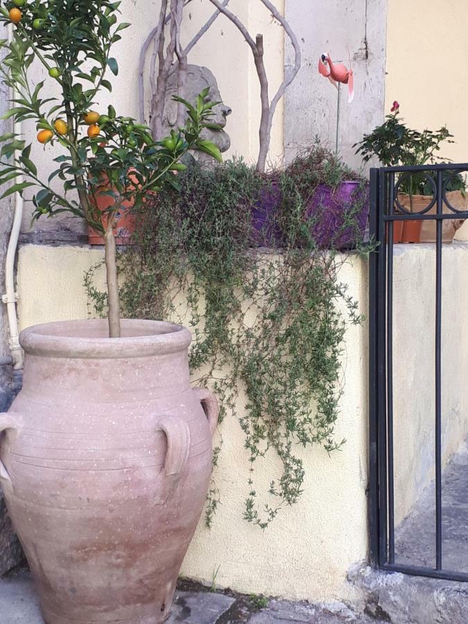 Mamarico' Apartament Catania Bagian luar foto