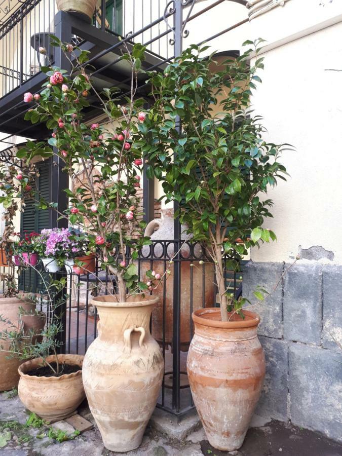 Mamarico' Apartament Catania Bagian luar foto